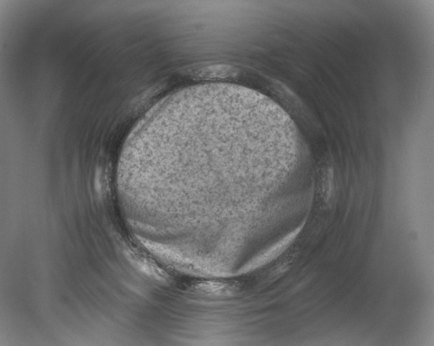 X0000080810326200701021322