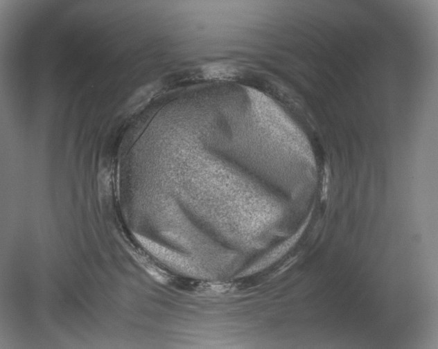 X0000080810329200701021322