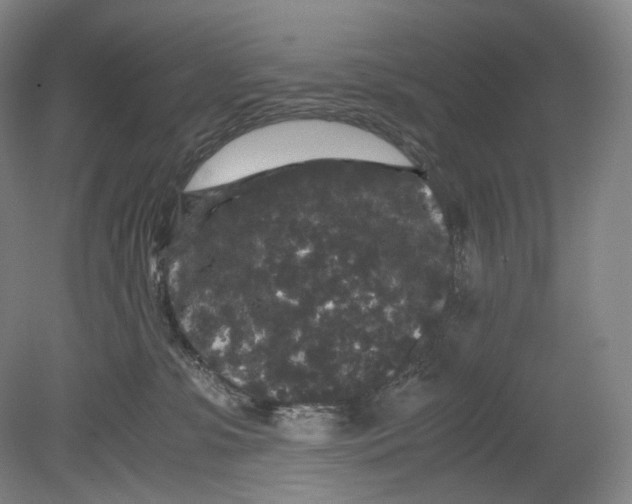 X0000080810331200701021322