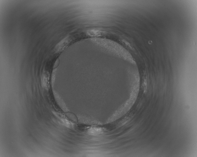 X0000080810332200701021322