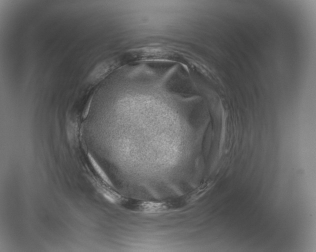 X0000080810333200701021322