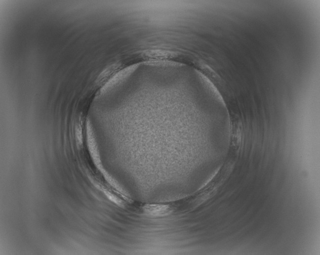 X0000080810334200701021322