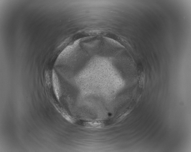 X0000080810335200701021322