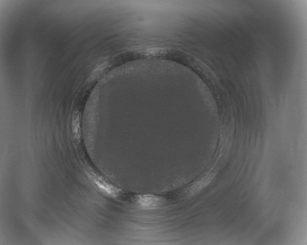 X0000080810336200701021322