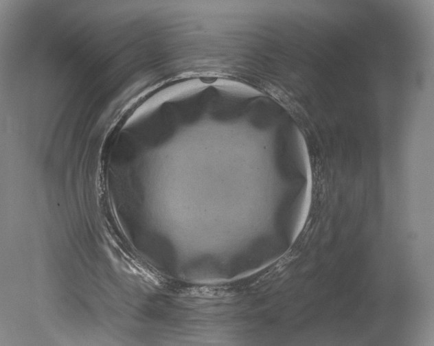 X0000080810338200701021321