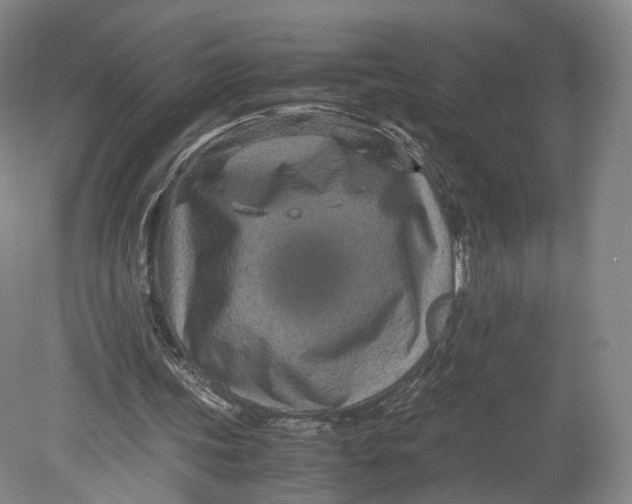 X0000080810339200701021321