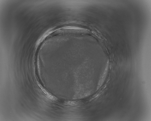 X0000080810341200701021321