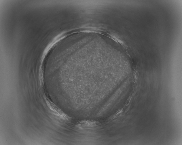 X0000080810343200701021321