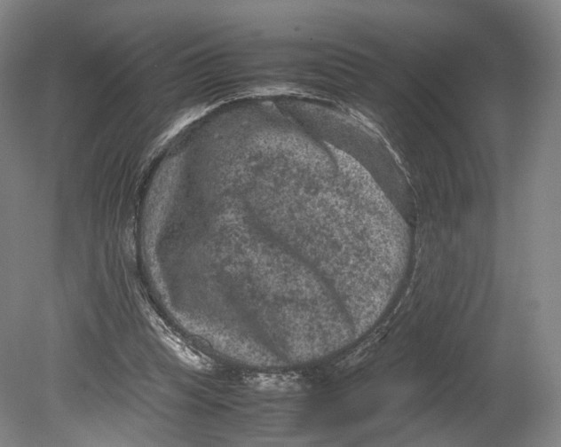 X0000080810345200701021321