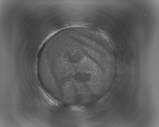 X0000080810346200701021321