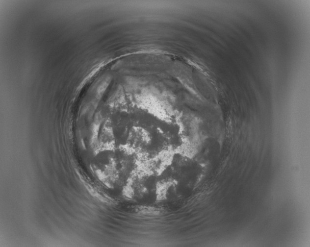 X0000080810347200701021321