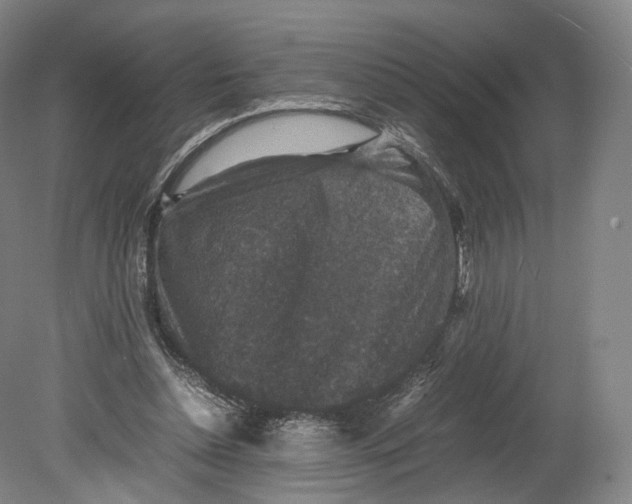 X0000080810348200701021321