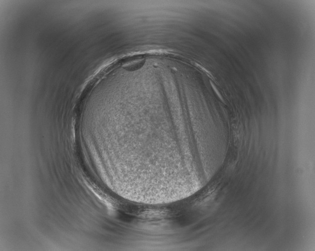 X0000080810350200701021321