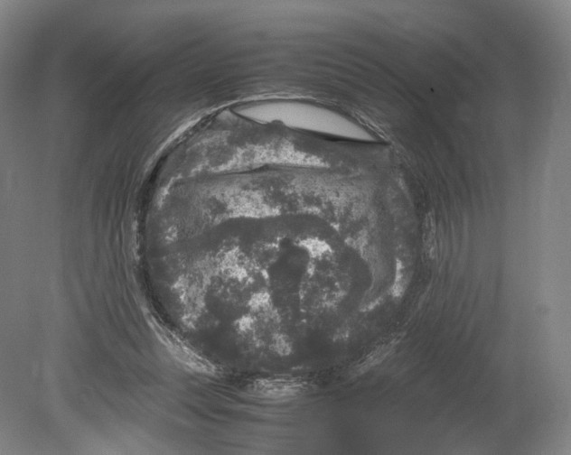 X0000080810351200701021321