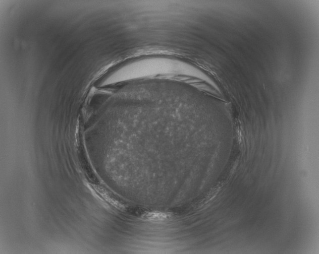 X0000080810352200701021321