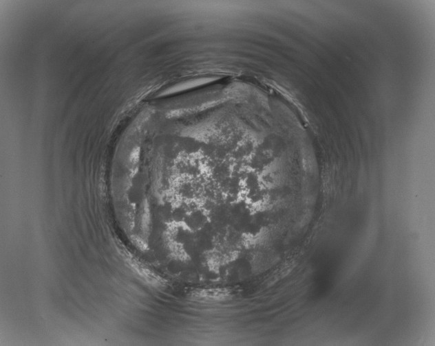 X0000080810353200701021321