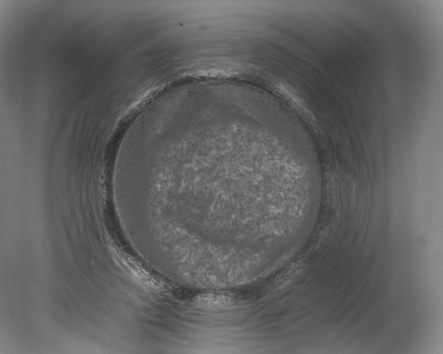 X0000080810354200701021321