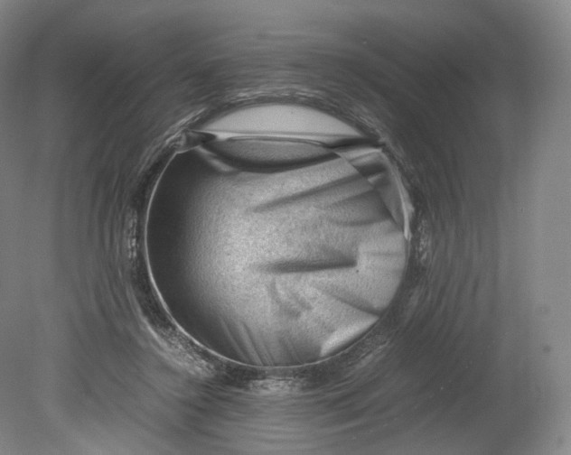 X0000080810356200701021321