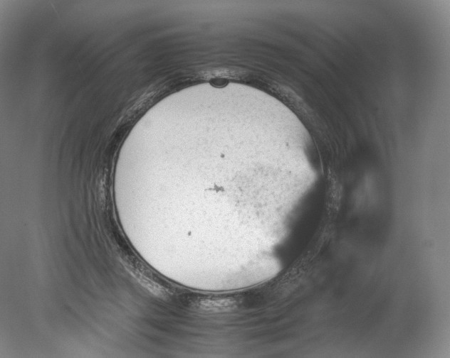 X0000080810357200701021322