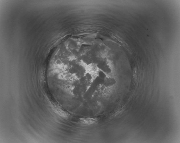 X0000080810359200701021322