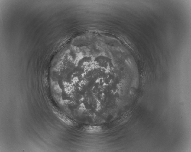 X0000080810361200701021322