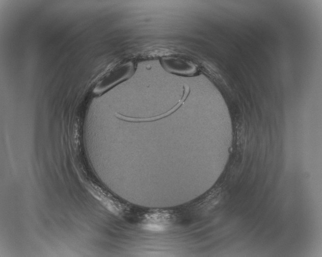 X0000080810362200701021322