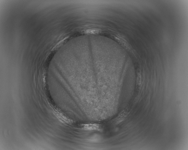 X0000080810363200701021322