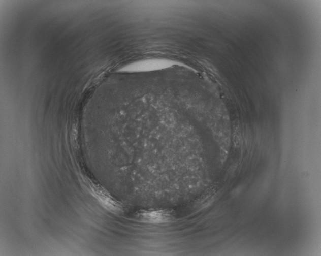 X0000080810365200701021322