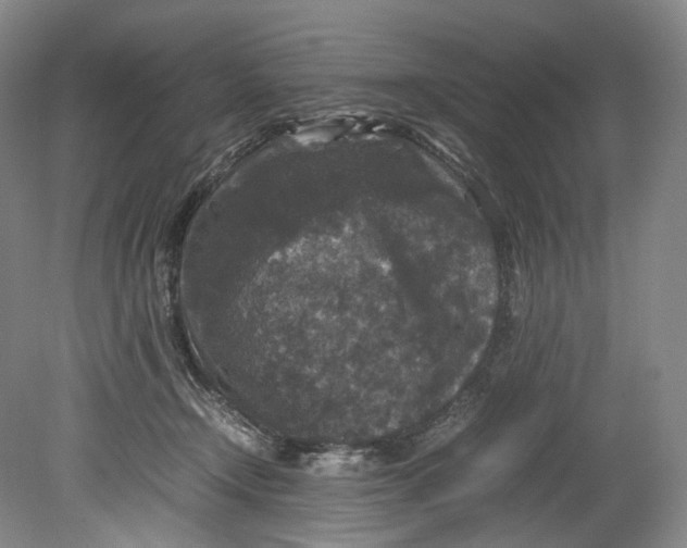 X0000080810366200701021322