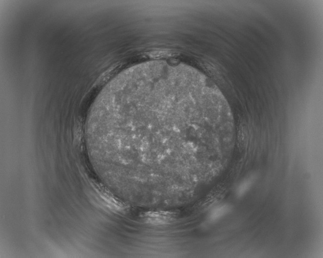 X0000080810367200701021322