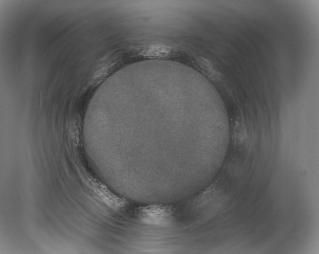 X0000080810370200701021322