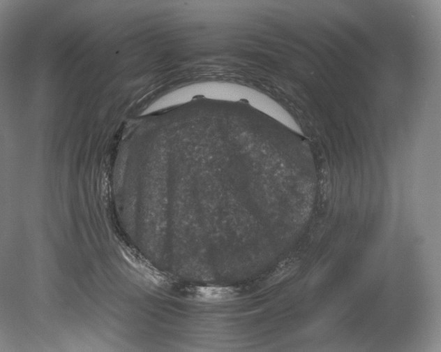 X0000080810371200701021322