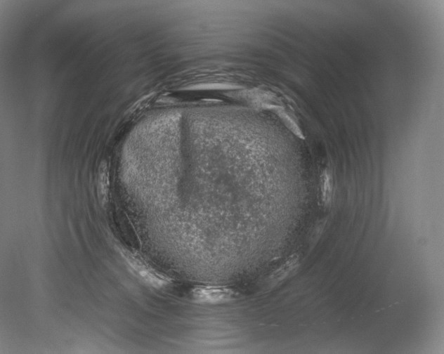 X0000080810372200701021322