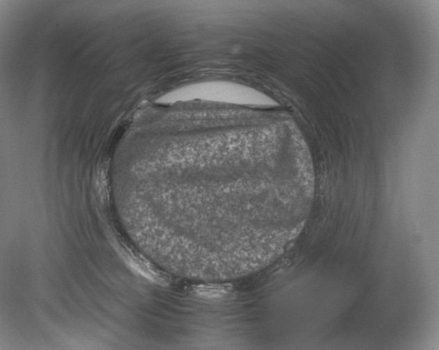 X0000080810373200701021322