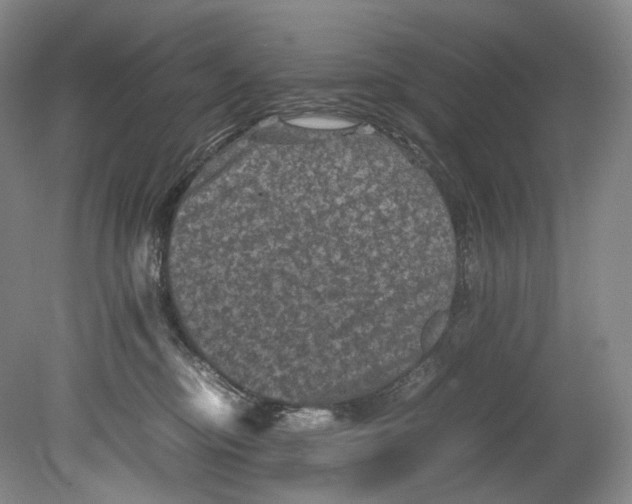 X0000080810374200701021322