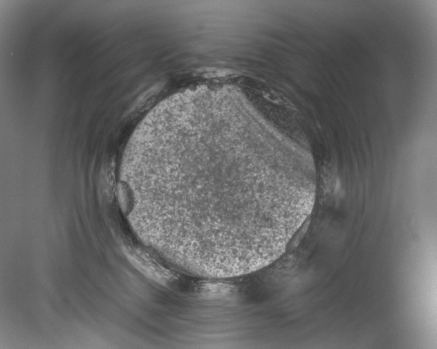 X0000080810376200701021322