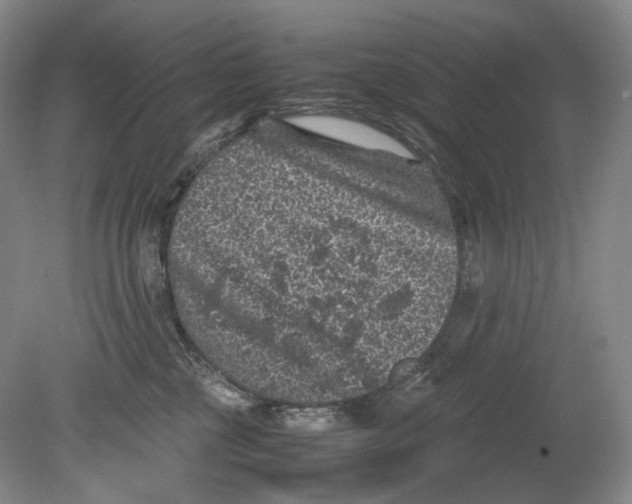 X0000080810377200701021322