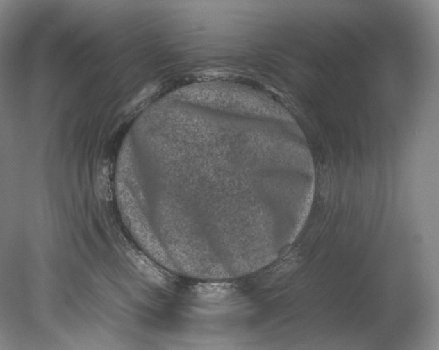 X0000080810378200701021322