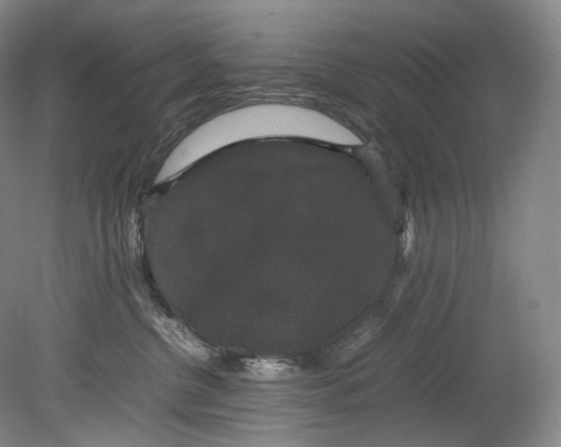 X0000080810380200701021322