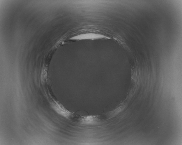 X0000080810382200701021322