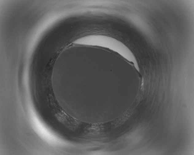 X0000080810383200701021322