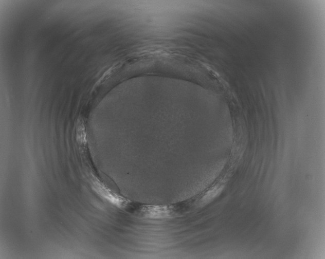 X0000080810384200701021322