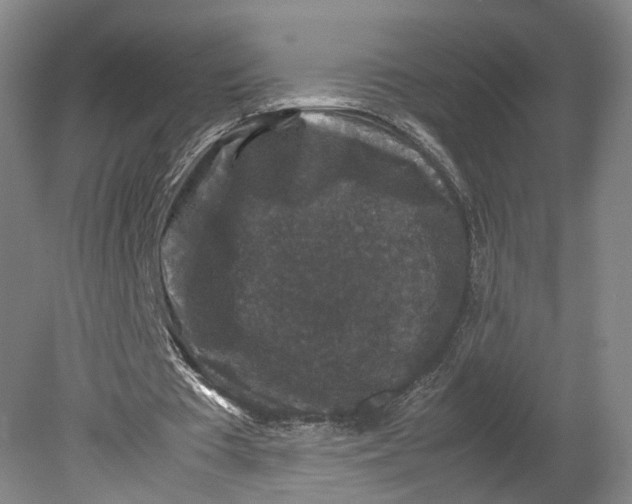 X0000080810385200701021321