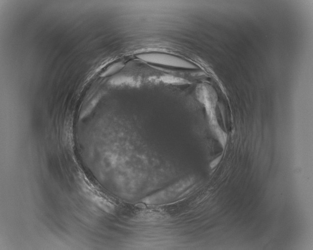 X0000080810386200701021321