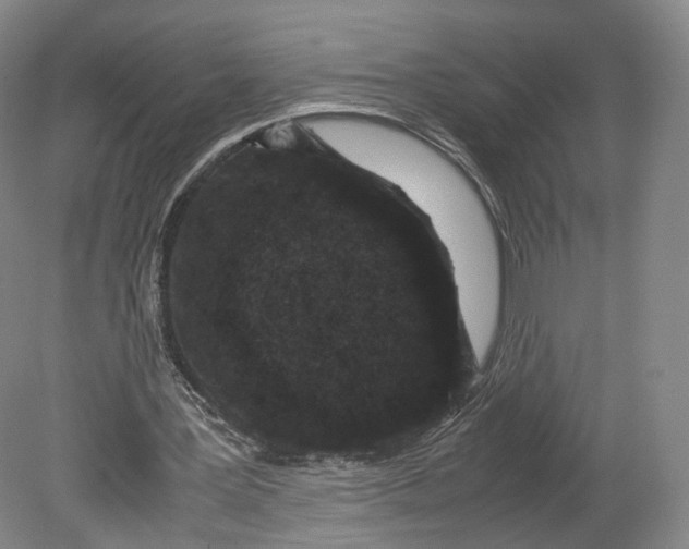 X0000080810387200701021321