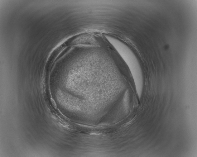 X0000080810388200701021321