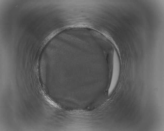 X0000080810389200701021321