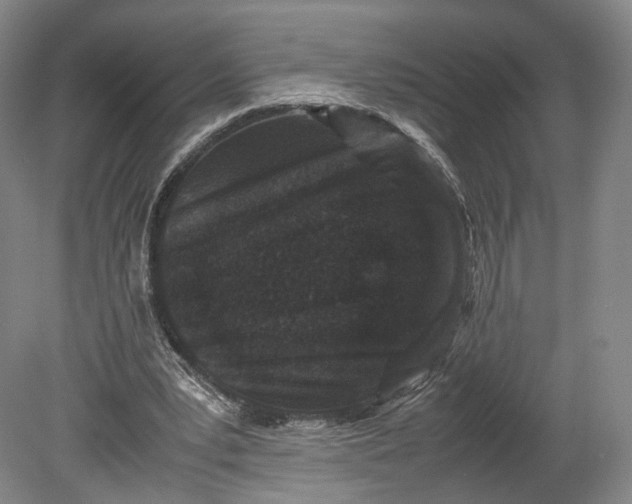 X0000080810391200701021321