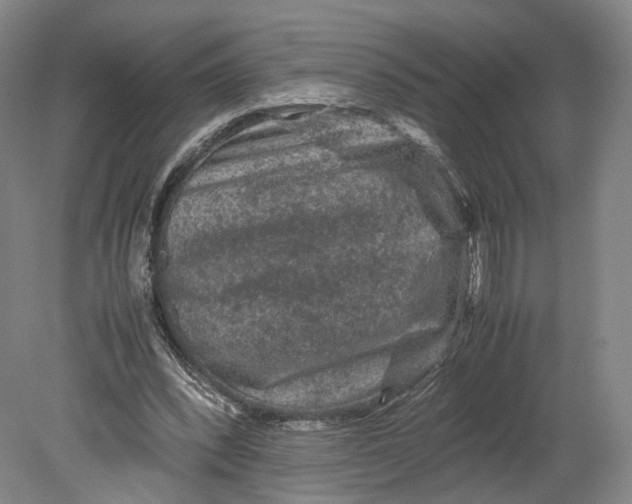 X0000080810392200701021321