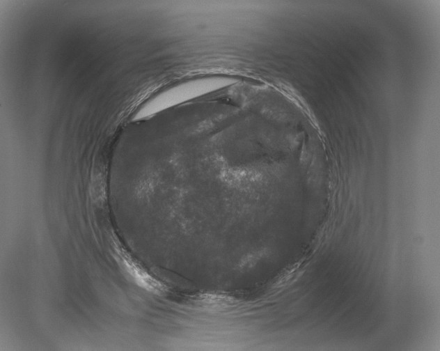 X0000080810393200701021321